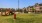 a red fire hydrant in a park